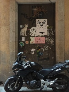 Cat posters spotted in Gothic Quarter
