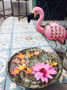 Colors of Seminyak