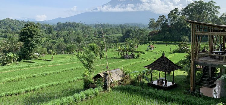 BALI DIARY: My Magical Bali